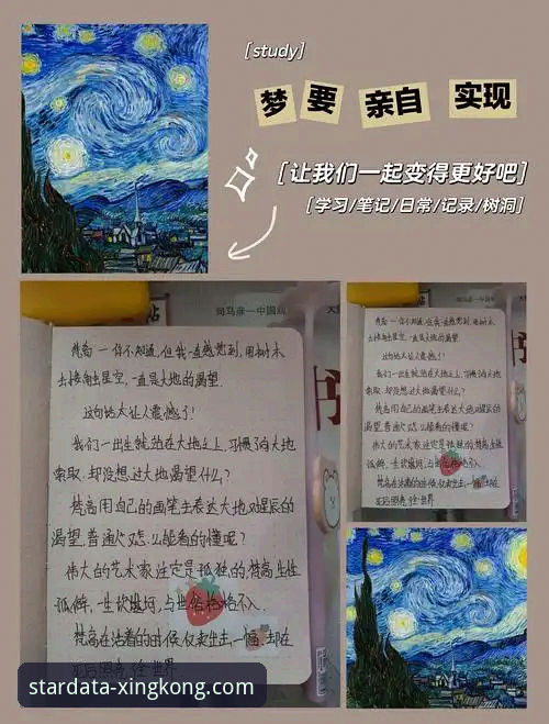 从新手到熟手：我的星空体育平台v3.5.1版本深度使用心得