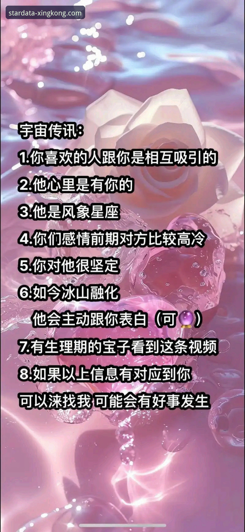 星空体育平台手机版 vs 网页版：哪个才是你的数据利器？